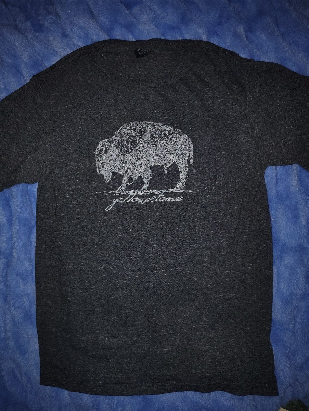 Yellowstone Buffalo Graphic Tee - Charcoal